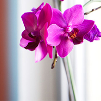 Einblicke in unsere Zahnarztpraxis